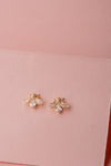 Silver PremiumStud Earrings ForWomen